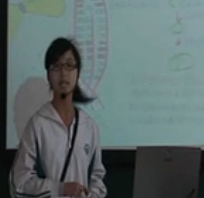 �����D����D�팣�}(����˼�S���D����)�D�˽��n�˰�