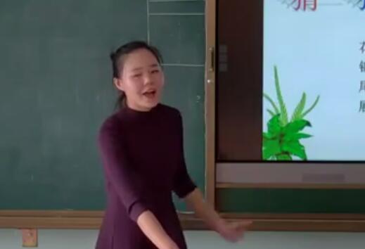 �����˽̰�һ�꼉�σԵ�6�n��β��-��