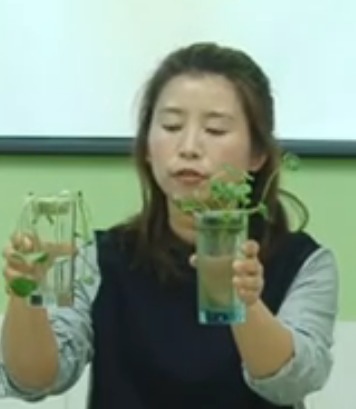 �K�ư�����������ϵ����µڶ����Gɫֲ������L��Ҫˮ�͟o�C�}_���Kʡ - ����