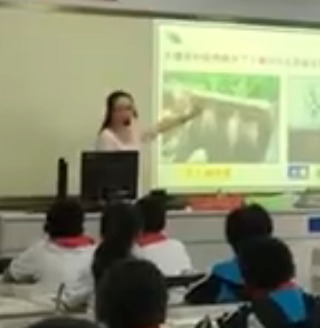 �K�ư�����������ϵ����µڶ���(ji��)�Gɫֲ������L��Ҫˮ�͟o�C�}_���Kʡ - �Ͼ�