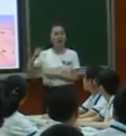 ���ٰ���꼉�σԵ�����Ԫ�����¡��Gɫֲ��������Ȧ�е����á��ؑc�� - ����^