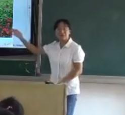 С�W���g�˽̰����꼉�σԵ�14�n���o���ႀ�у�������ʡ- �