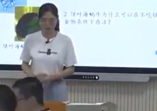 ����ʡ�����������n���½̲ă�(y��u)�|(zh��)�n�����n��(bi��o)�˽̰棩����I��5�µ�4��(ji��)����������c�����D(zhu��n)����