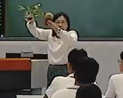 �y����������n���½̲ă��|�n��ِ��ʡِ�����˽̰��������W���޶�6.2��Ȼ�x���c�m�����γ�_�ь�